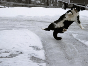 Будьте уважні: ДСНС попереджають про ожеледицю і заморозки