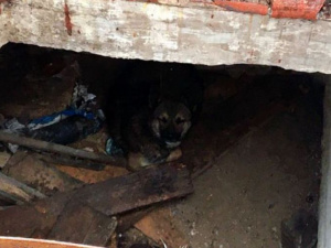 Фото пресс-службы ГСЧС Днепропетровской области