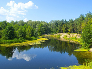 Фото Ветаран Інфо