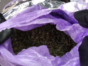 Без прав керування, із підробним VIN-кодом та документами: патрульні виявили криворіжця-порушника