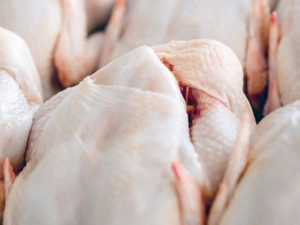 Фото із мережі Інтернет