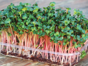 Фото з відкритих джерел