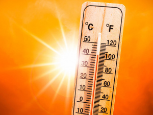 Фото з відкритих джерел 