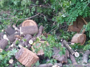 Фото пресс-службы Криворожского отдела полиции