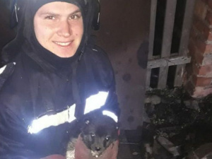 Фото пресс-службы ГСЧС Днепропетровской области