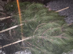 Фото зі сторінки Криворізького відділу поліції охорони у Facebook