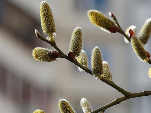 Фото із мережі Інтернет