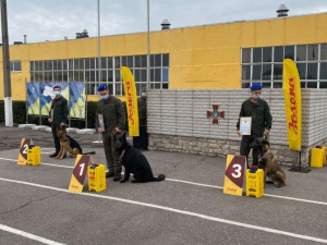 У Кривому Розі визначили кращих кінологів Центрального ОТО