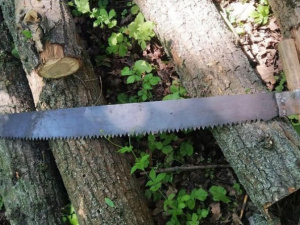 Фото пресс-службы Криворожского отдела полиции