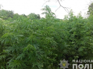 Фото пресс-службы полиции Днепропетровской области