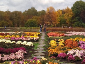 Фото із соціальних мереж