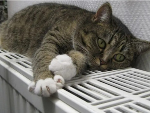 Опалювальний сезон у Кривому Розі, фото Pixabay