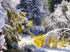 Фото з відкритих джерел    