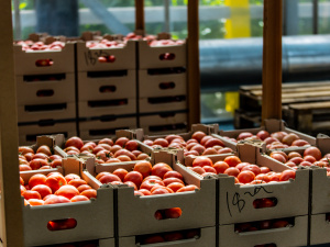 Фото: Дніпропетровська ОВА