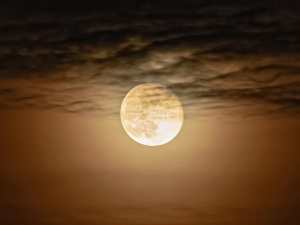 Фото з відкритих джерел   