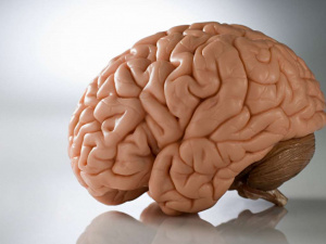 Фото з відкритих джерел