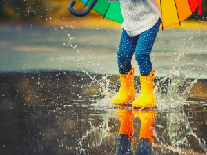 Фото з відкритих джерел