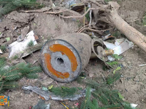 Фото: ГУ ДСНС України у Дніпропетровській області