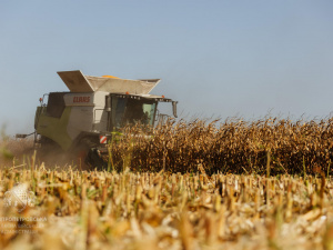 Жнива тривають: на Дніпропетровщині аграрії зібрали рекордний урожай 