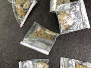 Фото пресс-службы Криворожского отдела полиции