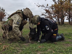 Фото Павлоградського пошуково-рятувального кінологічного загону «Антарєс»