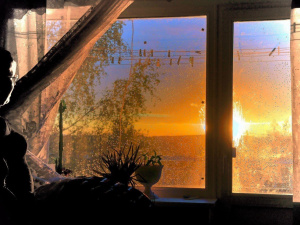 Фото з відкритих джерел