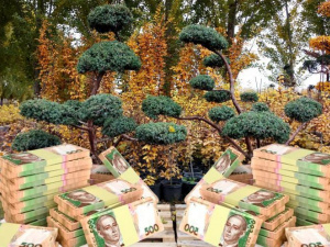 Фото з відкритих джерел