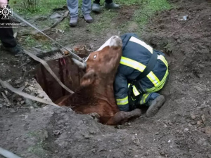 Фото: ГУ ДСНС України у Дніпропетровській області