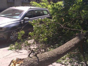 Фото пресс-службы ГСЧС Кривого Рога
