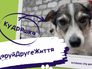 Зображення редакції krivbass.city