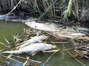 Фото: Дніпропетровський рибоохоронний патруль