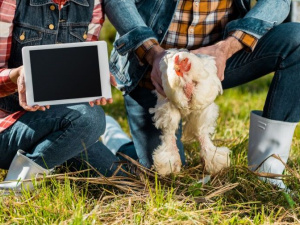 Фото: Depositphotos