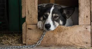 фото з відкритих джерел