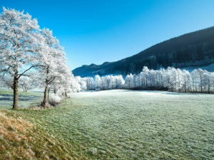 Фото pixabay.com 