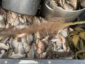 Фото: Національна поліція України