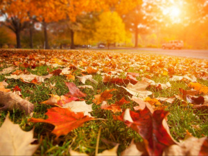 Погода на тиждень - фото ілюстративне з відкритих джерел 