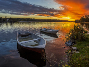 Фото з відкритих джерел