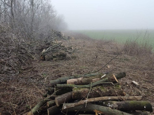 Фото: Глеюватська громада (Facebook)