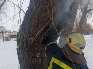 Фото ДСНС Дніпропетровської області