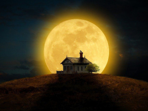 Фото з відкритих джерел