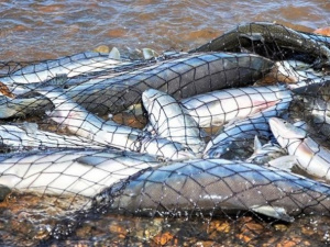 Фото з відкритих джерел