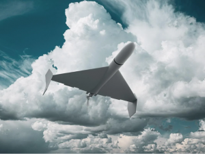 Фото з відкритих джерел