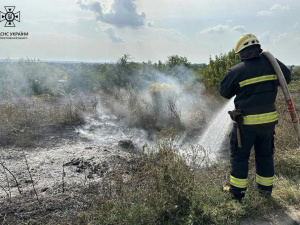 На Дніпропетровщині протягом доби вогнеборці ліквідували 34 пожежі в екосистемах