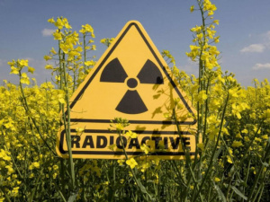 Пам’ятка від МОЗ: йодна профілактика у разі радіаційної аварії