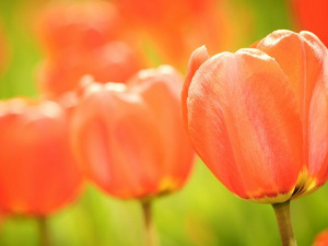 Фото: Depositphotos