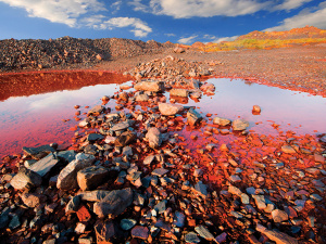 Фото Олександр Водолазський