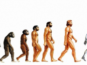 Зображення із мережі Інтернет