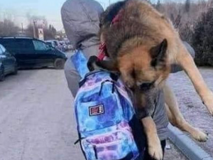 Фото із мережі інтернет