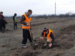 Фото пресс-службы компании Метинвест