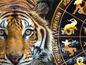 Фото із мережі інтернет